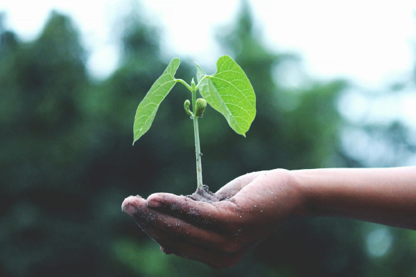 Sustainable Practices and Handover